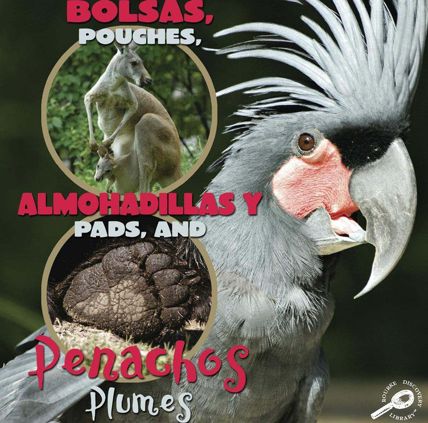 2009 - Bolsas, almohadillas y penachos (Pouches, Pads, and Plumes) (eBook)