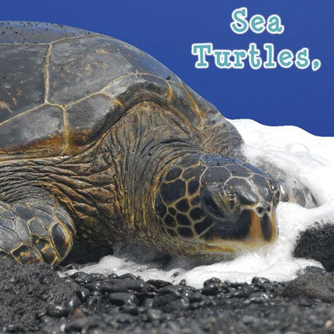 2009 - Sea Turtles, What Do You Do? (eBook)