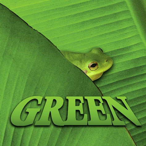 2019 - Green (Board Book)