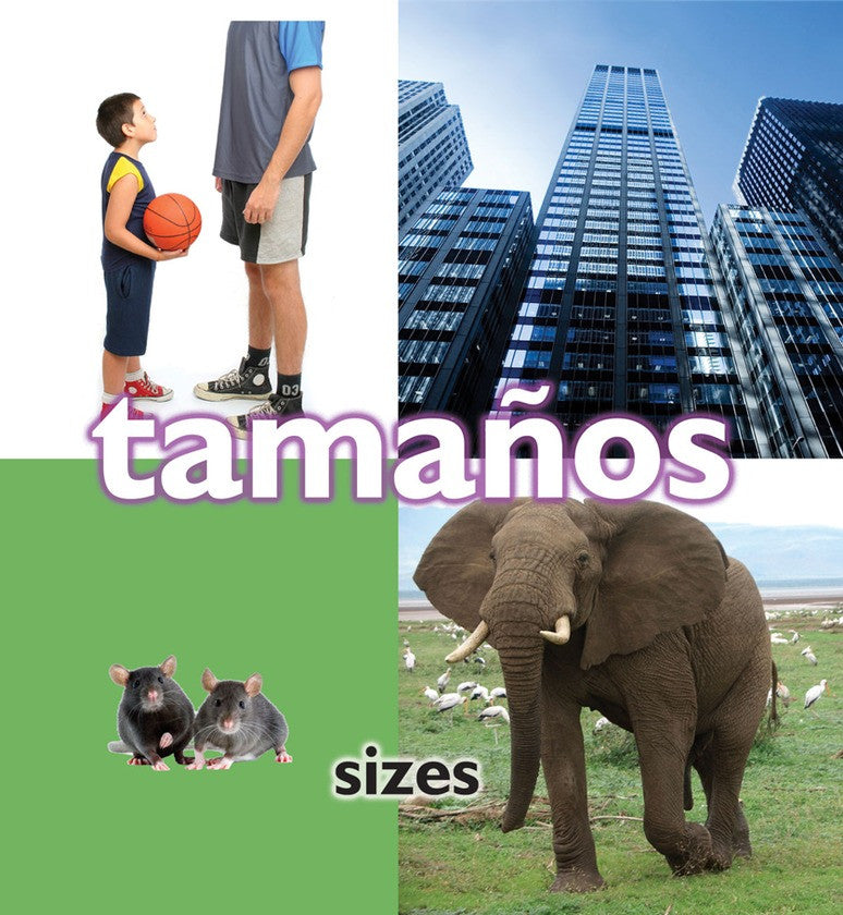 2009 - Tamaños (Sizes)  (eBook)