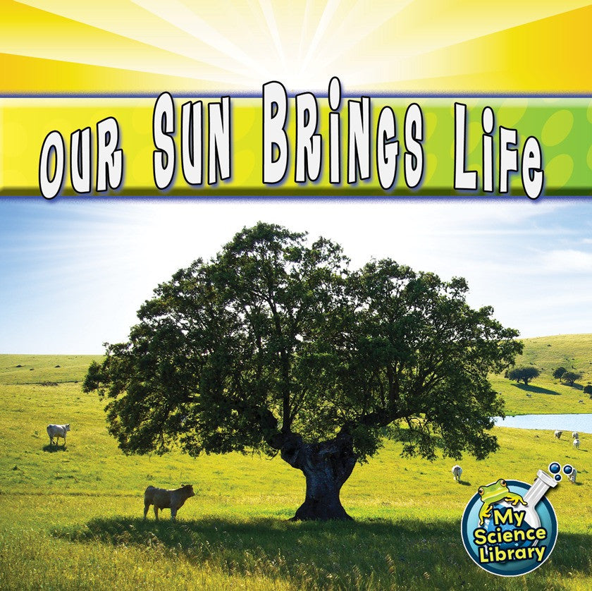 2012 - Our Sun Brings Life (eBook)