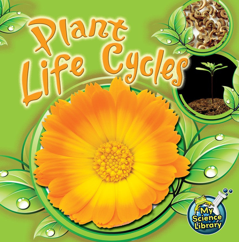 2012 - Plant Life Cycles (Paperback)