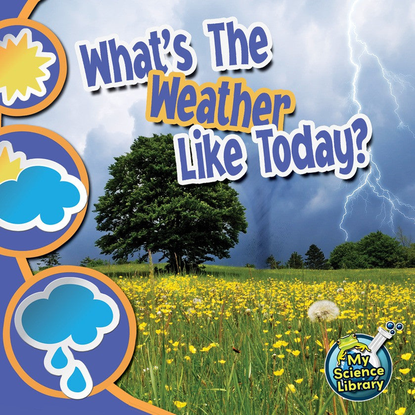 2012 - What's The Weather Like Today? (Paperback)