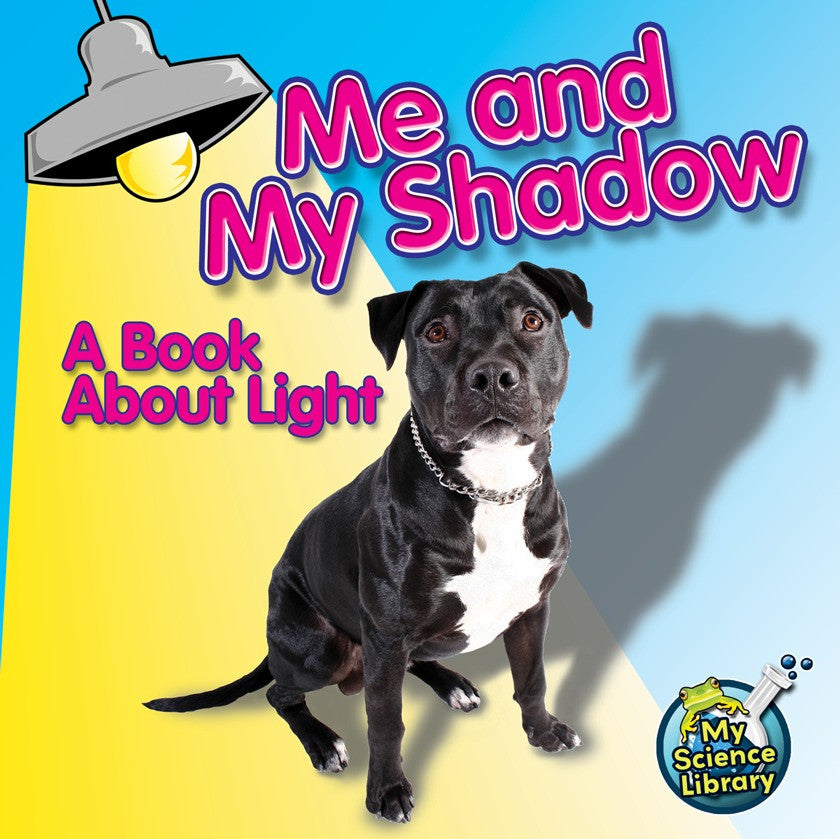 2012 - Me and My Shadow (eBook)