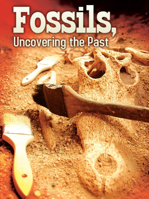 2012 - Fossils (eBook)
