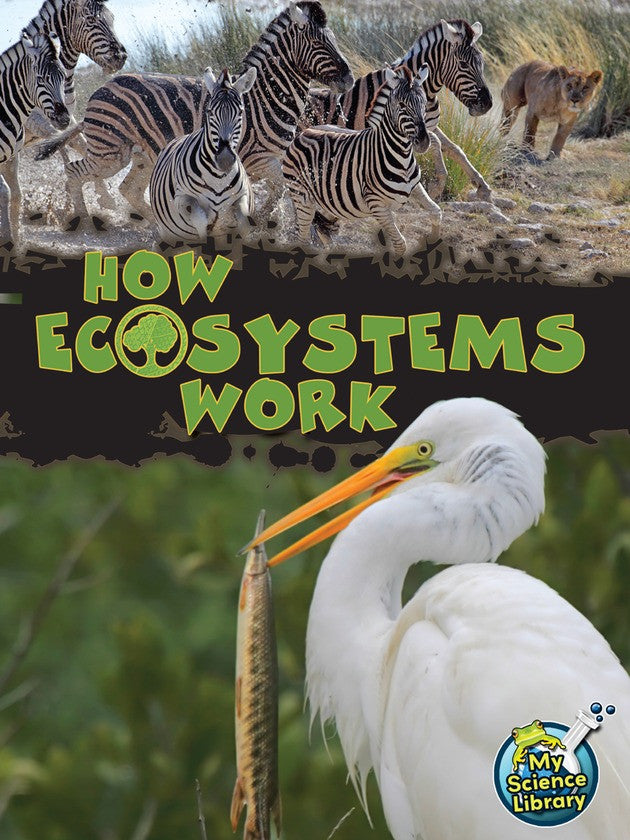 2013 - How Ecosystems Work (eBook)