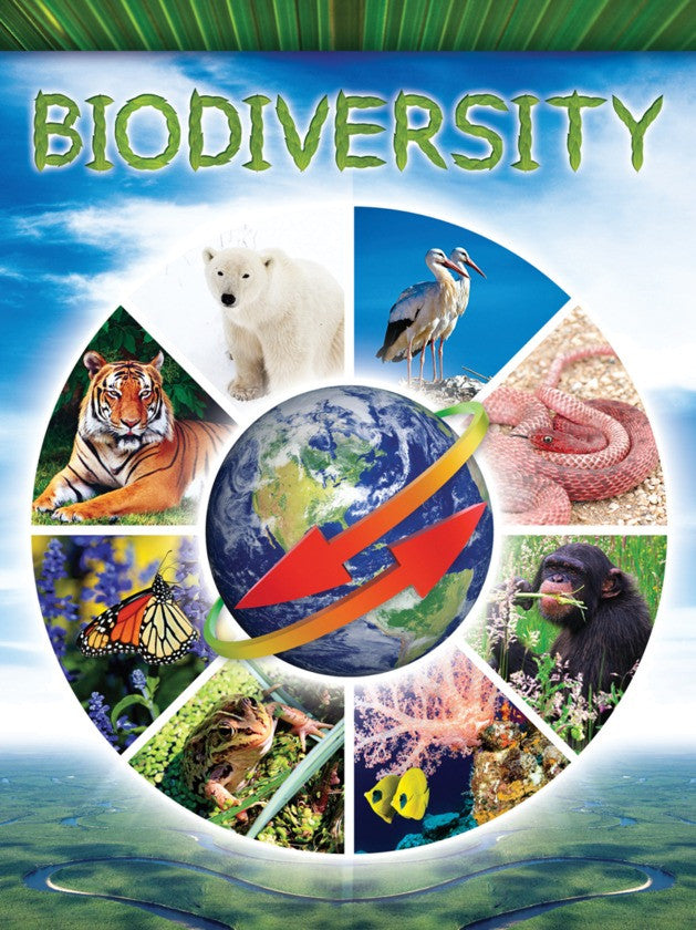 2013 - Biodiversity (Paperback)