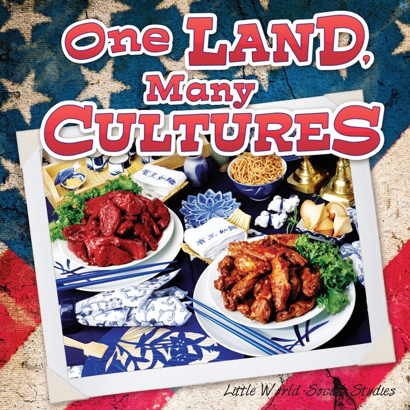2013 - One Land, Many Cultures (eBook)