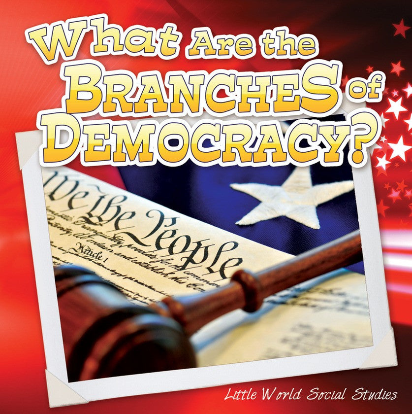 2013 - What Are The Branches of Democracy? (Paperback)