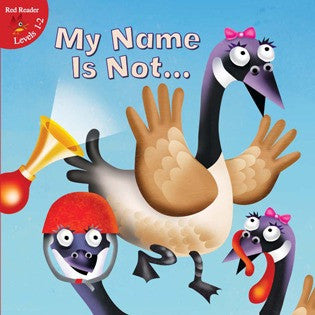 2013 - My Name Is Not... (eBook)