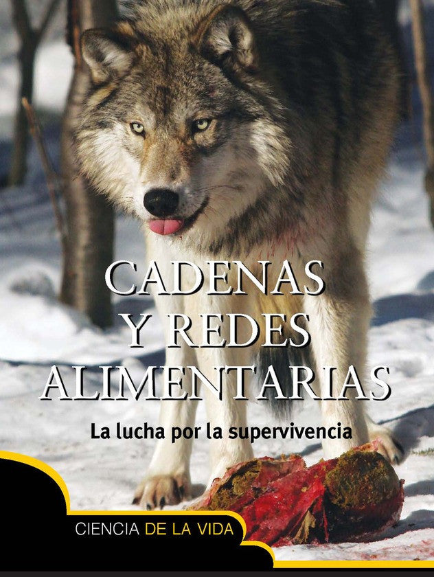 2013 - Cadenas y redes alimentarias (Food Chains and Webs)  (Paperback)