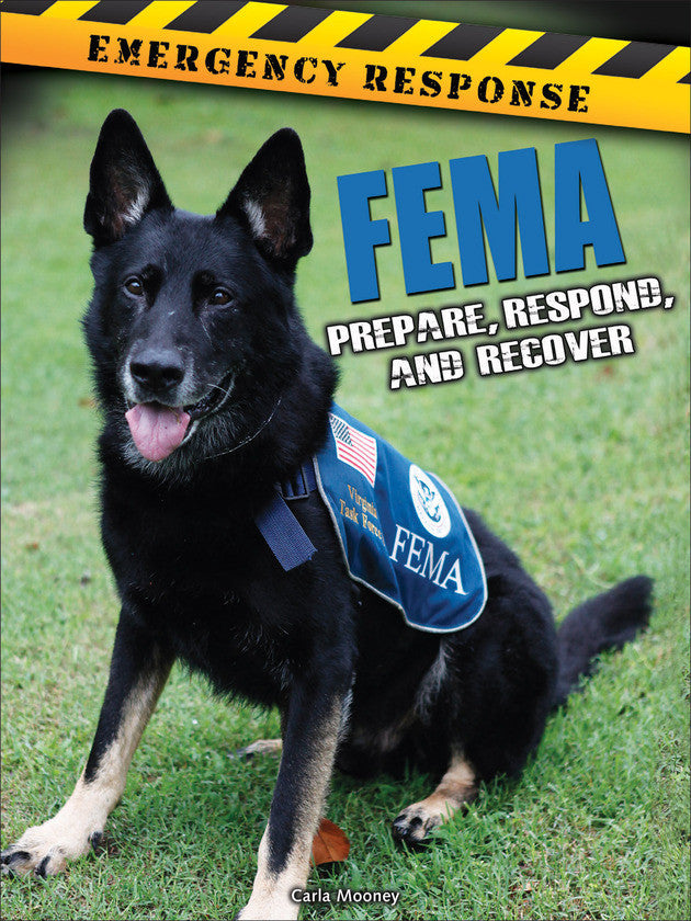 2015 - FEMA (eBook)