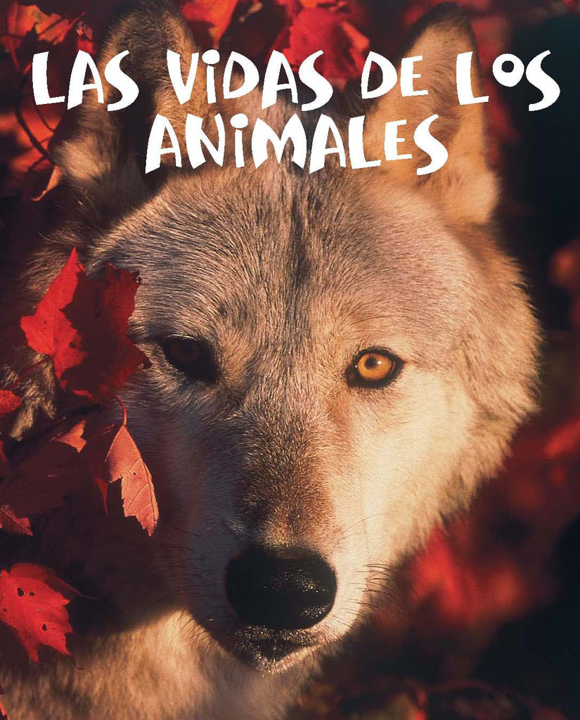 2008 - Las vidas de los animales (Animal Lives)  (Paperback)