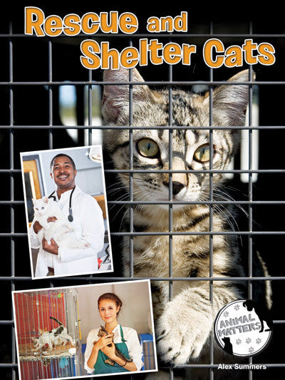 2015 - Rescue and Shelter Cats (Hardback)