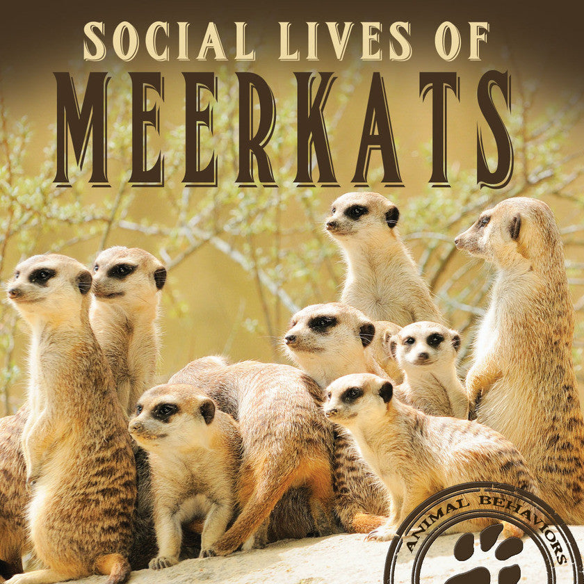 2017 - Social Lives of Meerkats (Hardback)