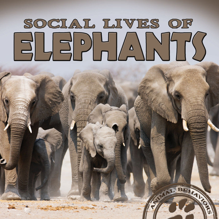 2017 - Social Lives of Elephants (Paperback)