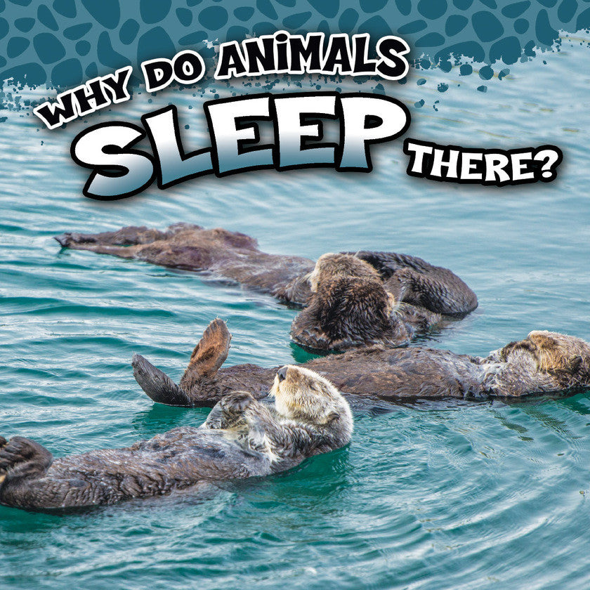 2017 - Why Do Animals Sleep There? (Paperback)