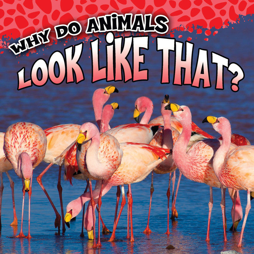 2017 - Why Do Animals Look Like That? (Paperback)
