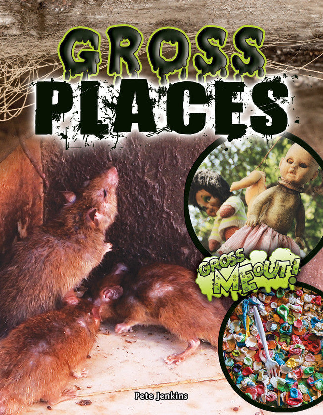 2017 - Gross Places (Paperback)