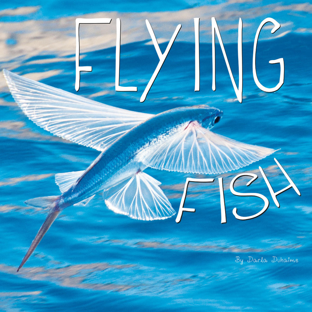 2018 - Flying Fish (Hardback)