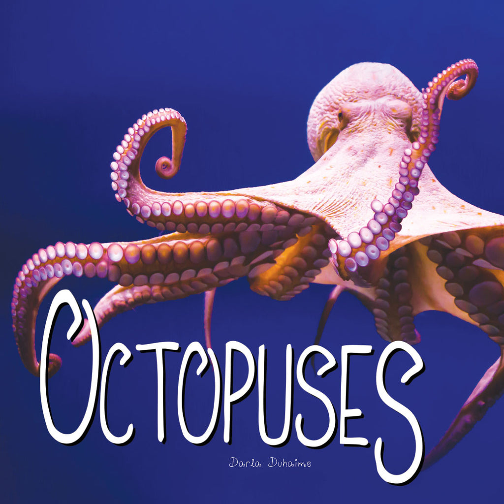 2018 - Octopuses (Hardback)