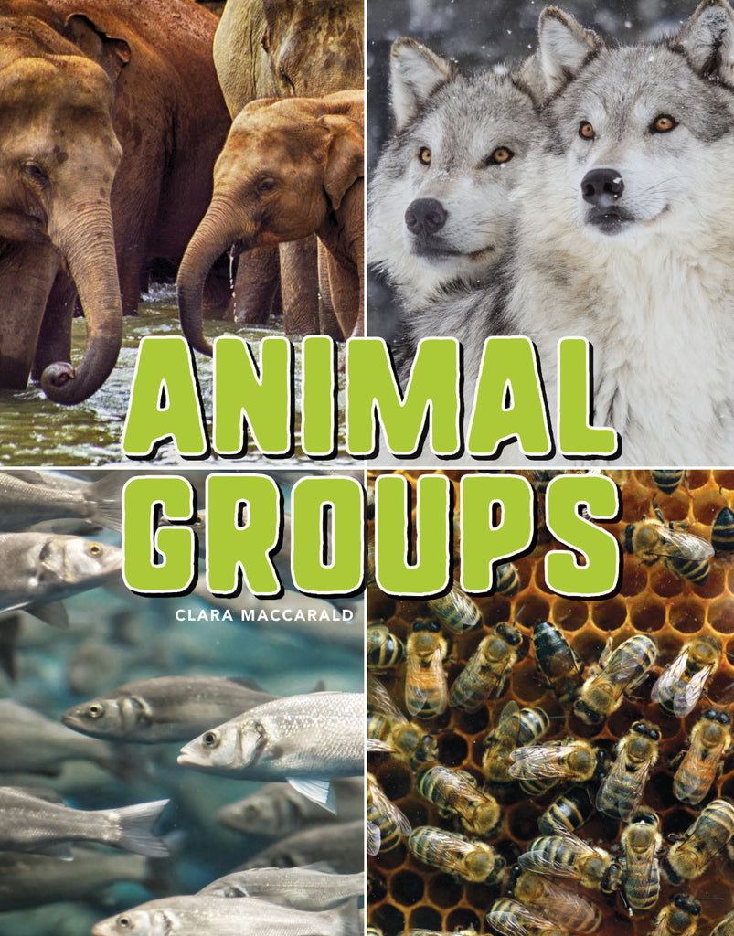 2018 - Animal Groups (Paperback)