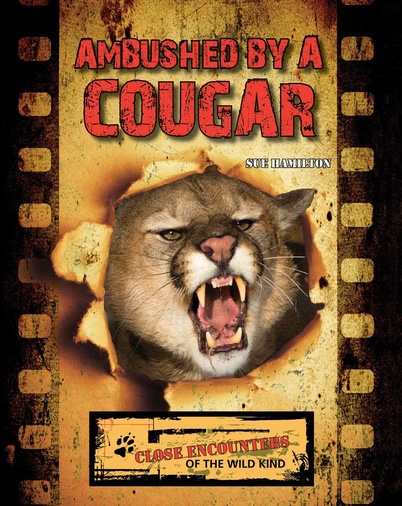 2021 - Ambushed by a Cougar (Paperback)