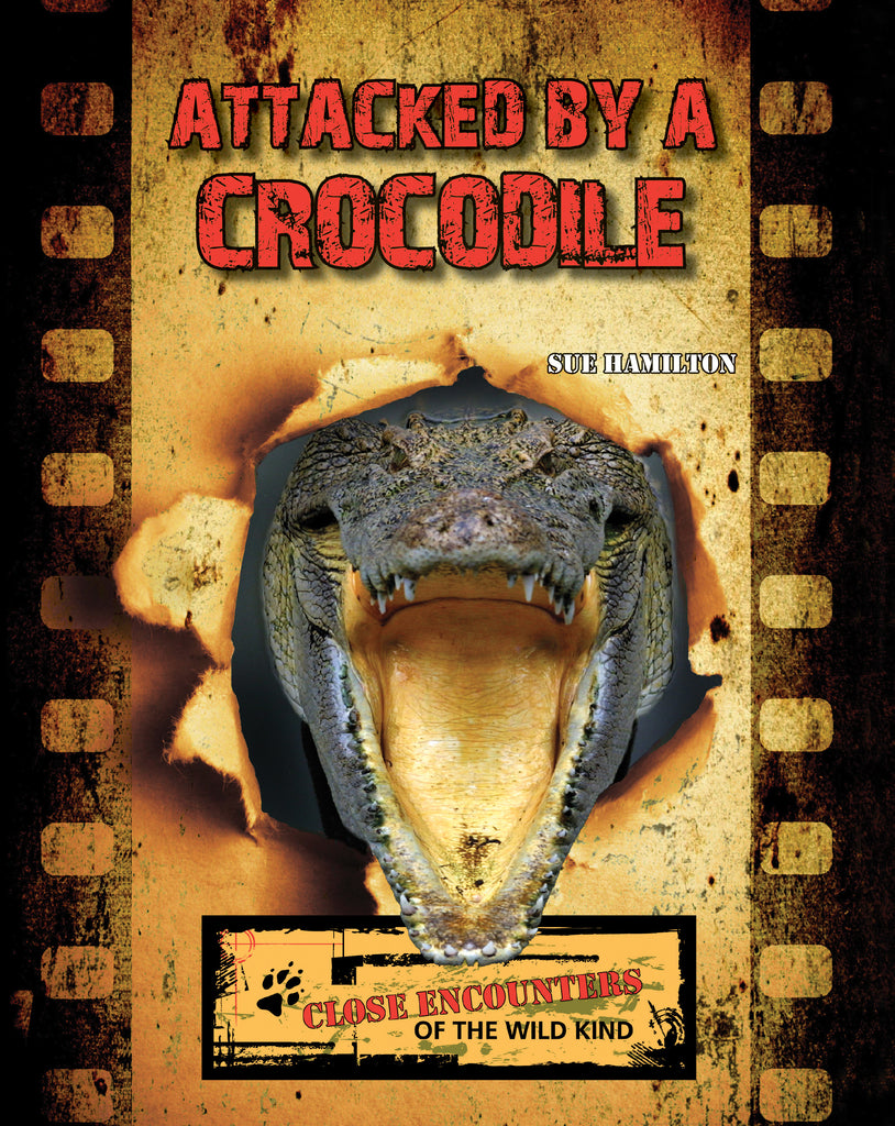 2021 - Attacked by a Crocodile (Paperback)