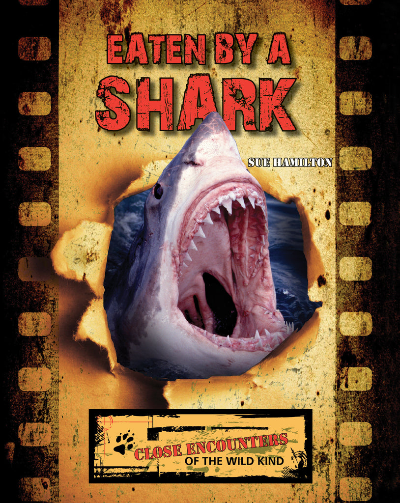 2021 - Eaten by a Shark (Paperback)