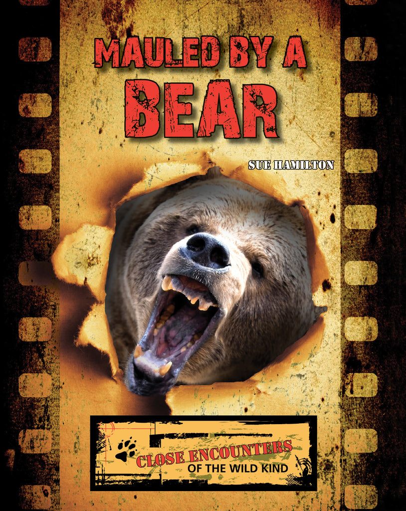 2021 - Mauled by a Bear (Paperback)