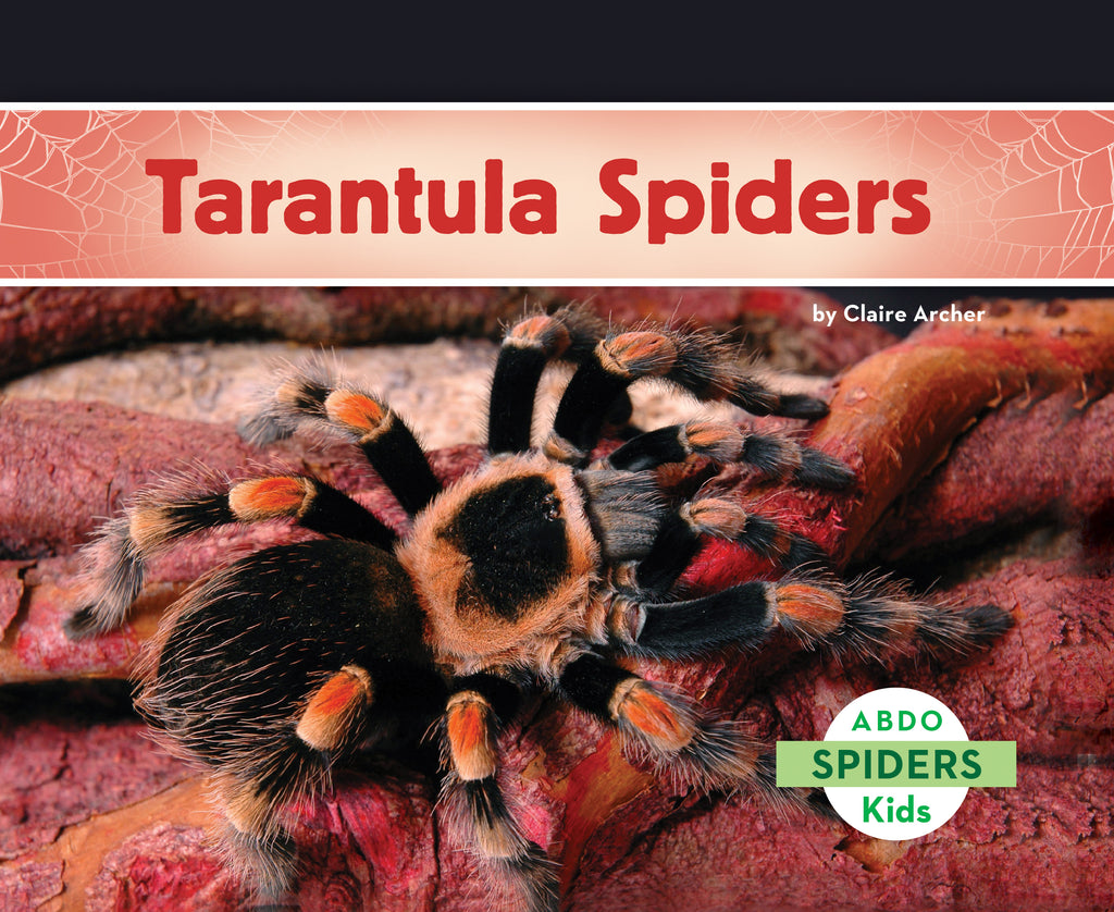 2021 - Tarantula Spiders (Paperback)