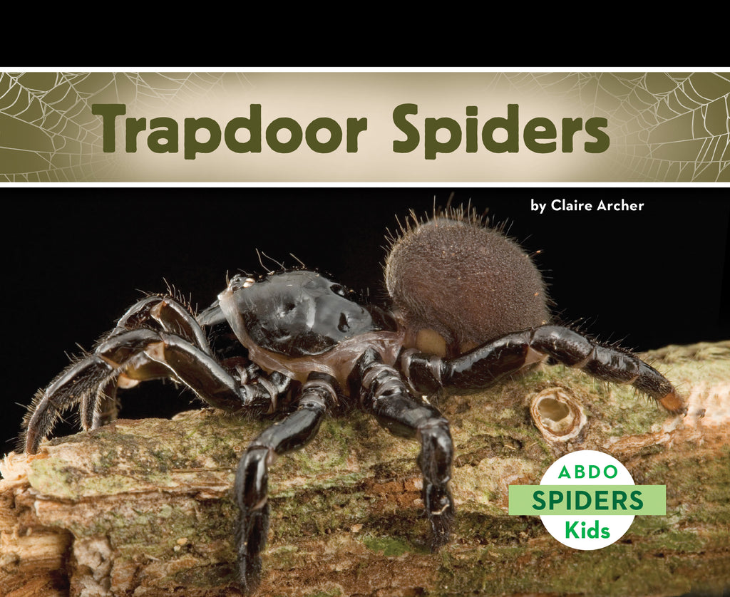 2021 - Trapdoor Spiders (Paperback)