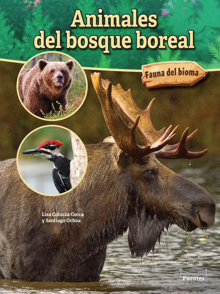 2023 -  Animales del bosque boreal (Hardback)