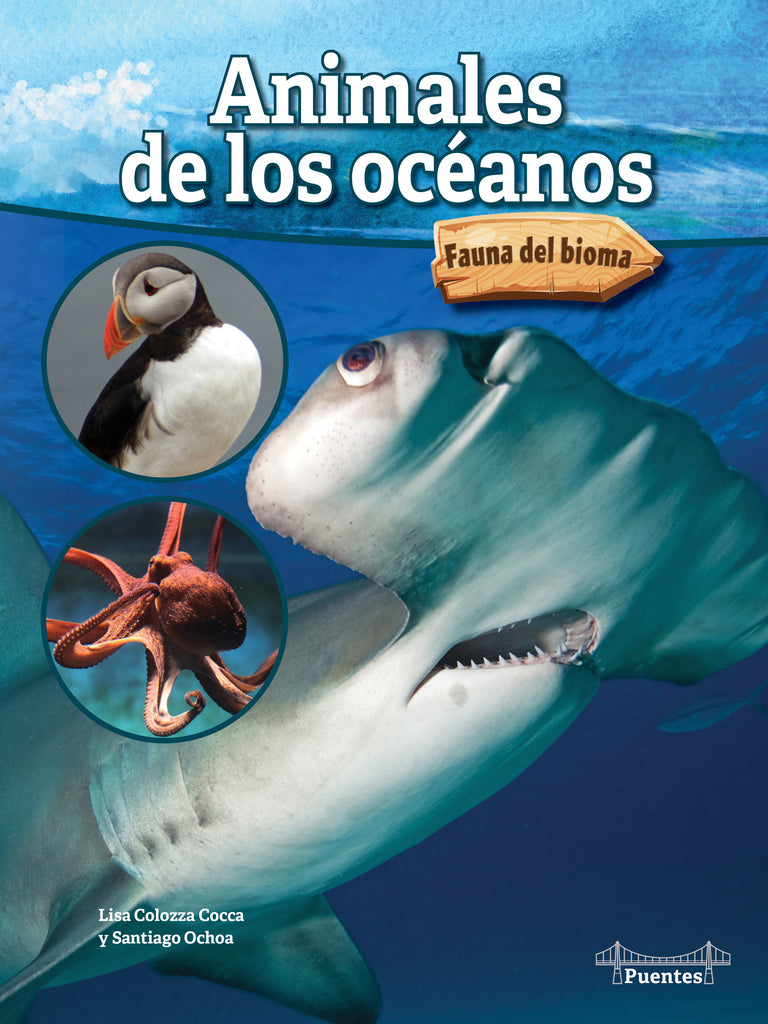 2023 -  Animales de los océanos (Hardback)