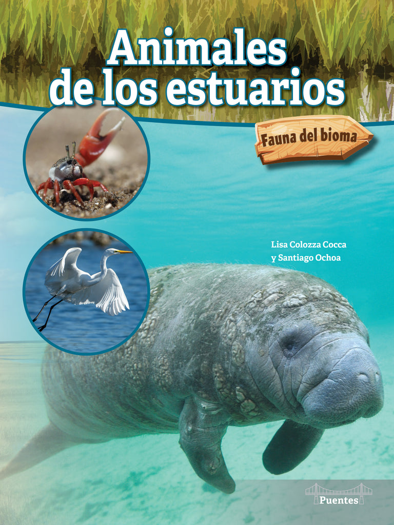 2023 -  Animales de los estuarios (Paperback)