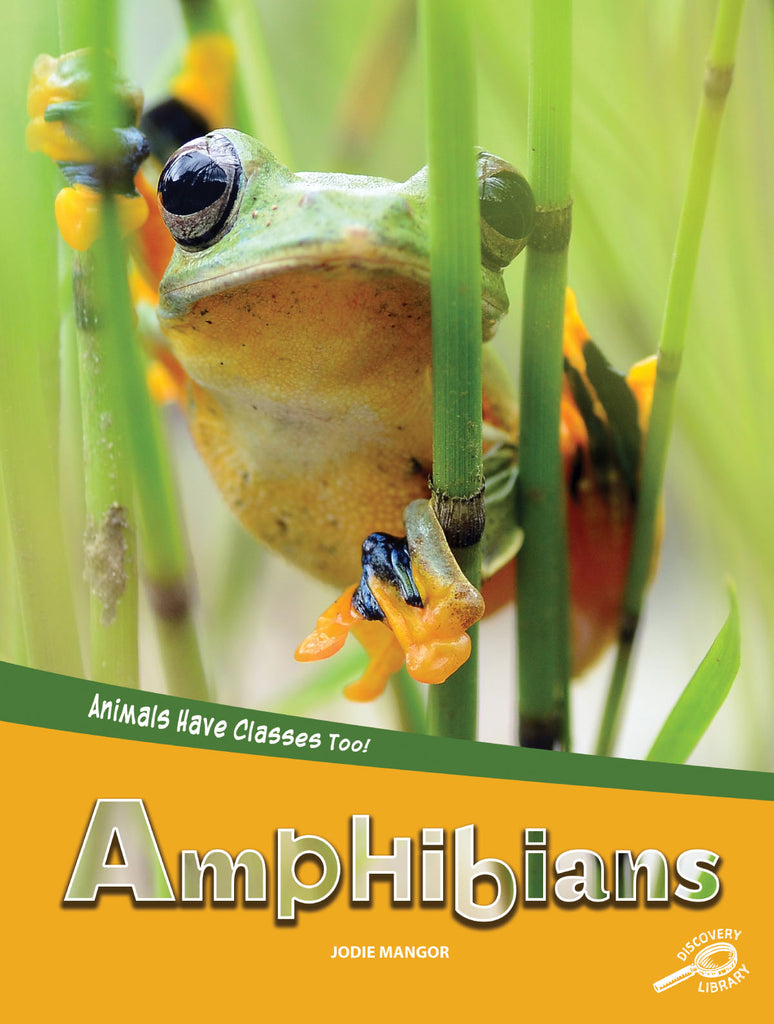 2019 - Amphibians (Paperback)