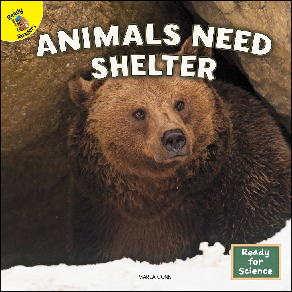 2021 - Animals Need Shelter (Paperback)