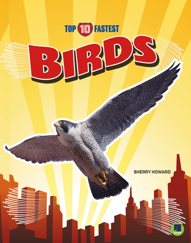 2020 - Birds (eBook)