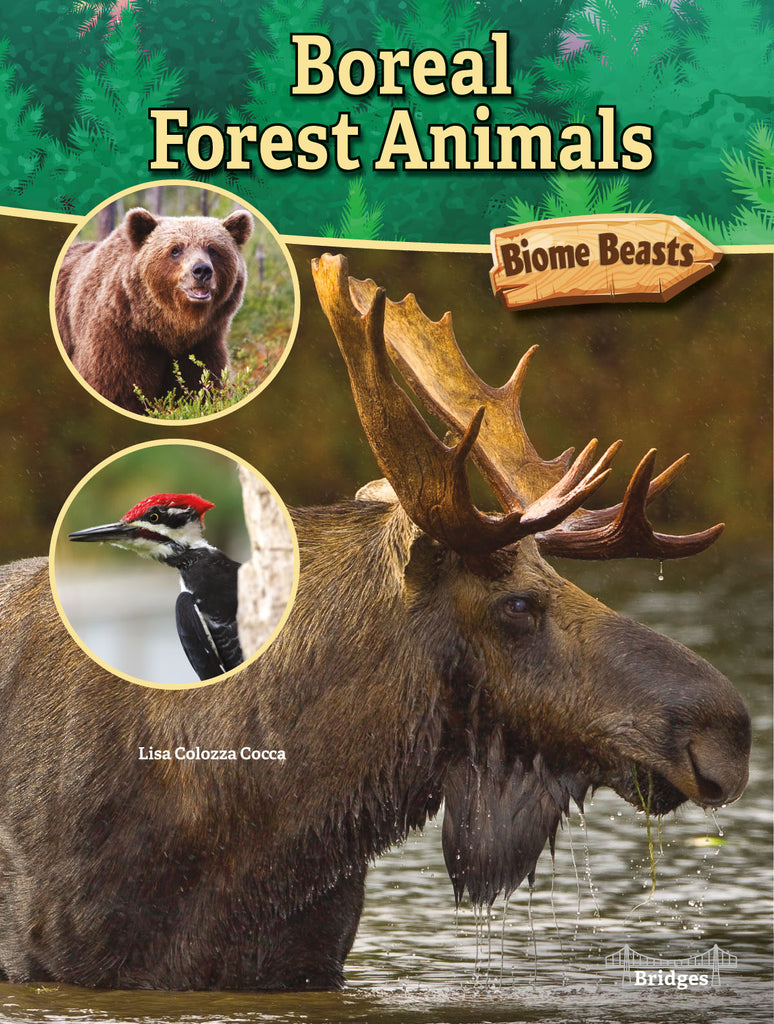 2020 - Boreal Forest Animals (Paperback)