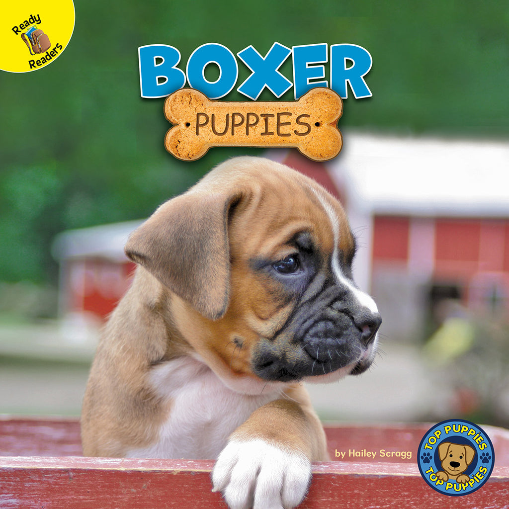 2020 - Boxer Puppies (Paperback)