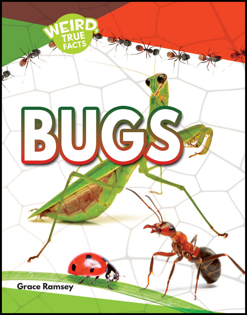 2019 - Bugs (Paperback)