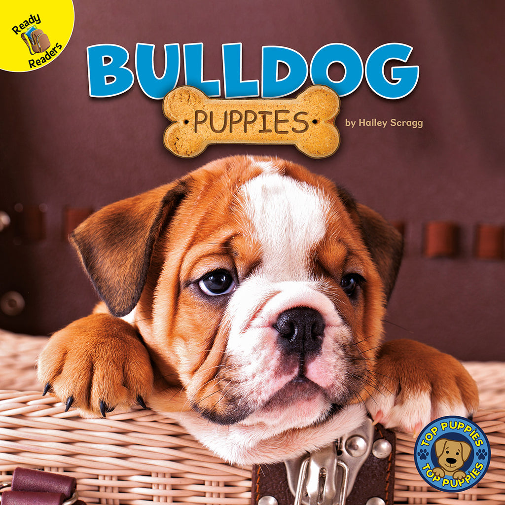 2020 - Bulldog Puppies (eBook)
