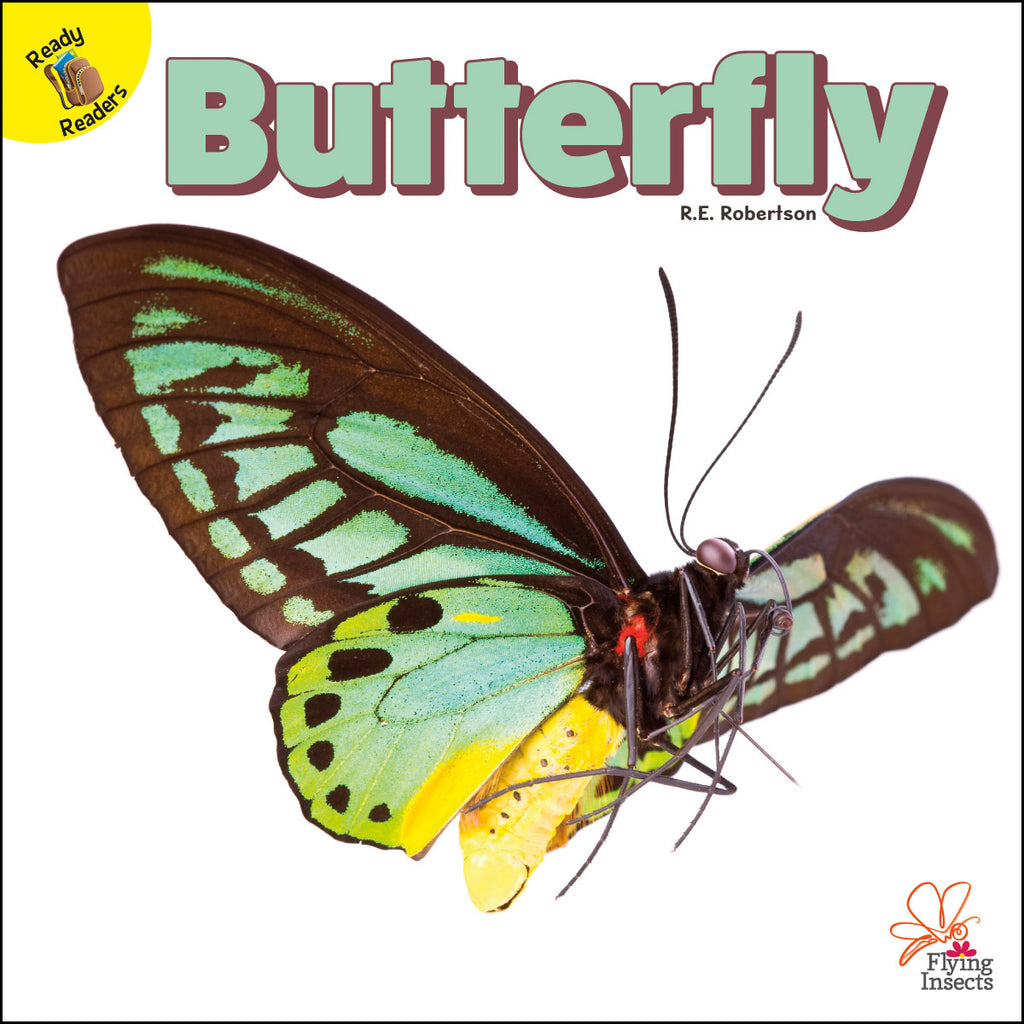 2020 - Butterfly (eBook)