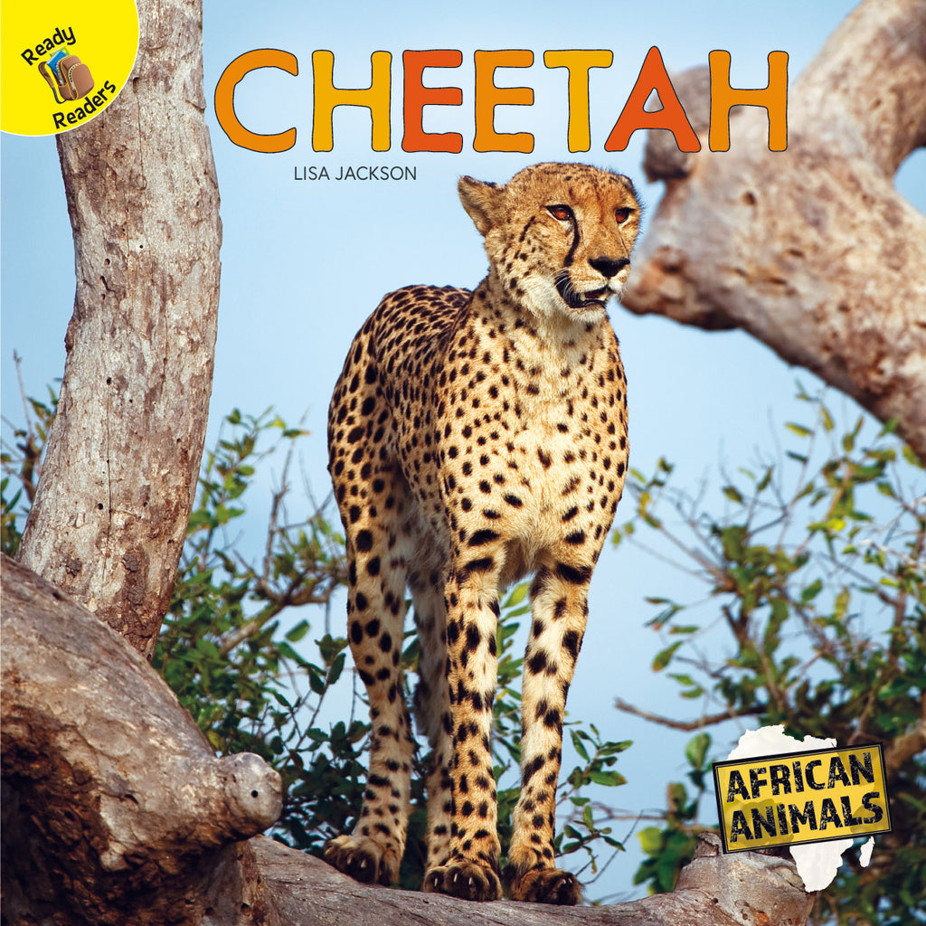 2020 - Cheetah (Hardback)