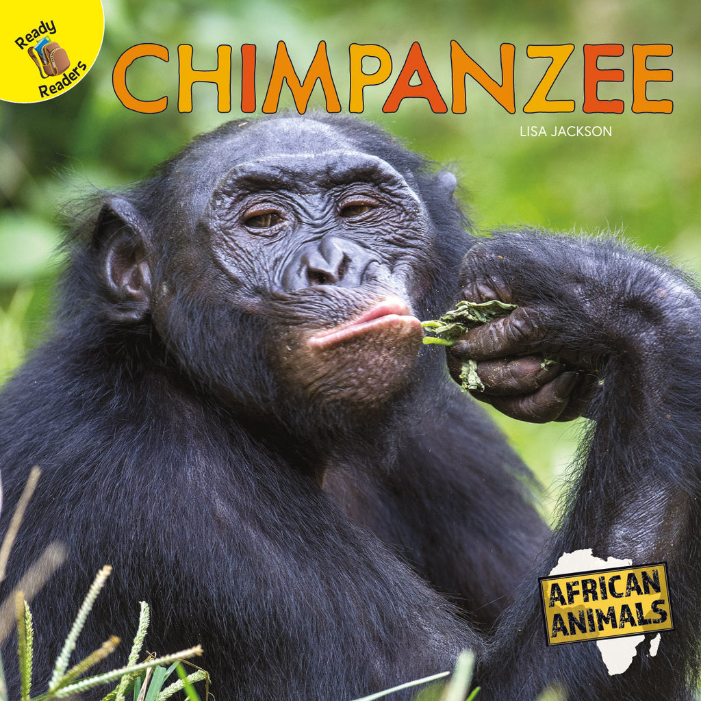 2020 - Chimpanzee (eBook)