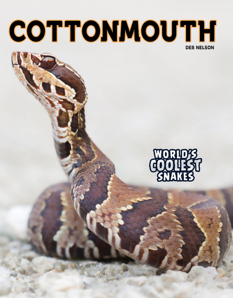 2019 - World's Coolest Snakes (Series)