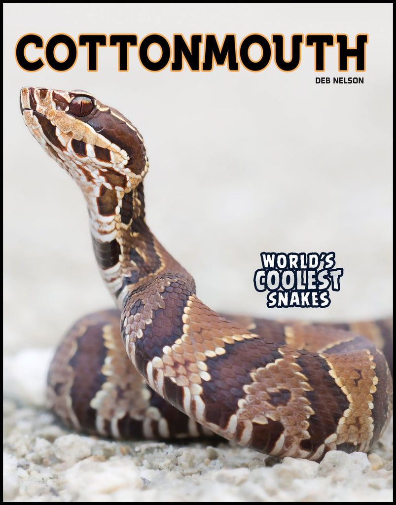2019 - Cottonmouth (eBook)