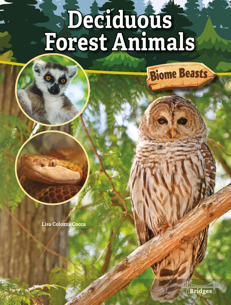 2020 - Deciduous Forest Animals (Paperback)
