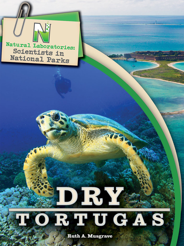 2019 - Dry Tortugas (eBook)