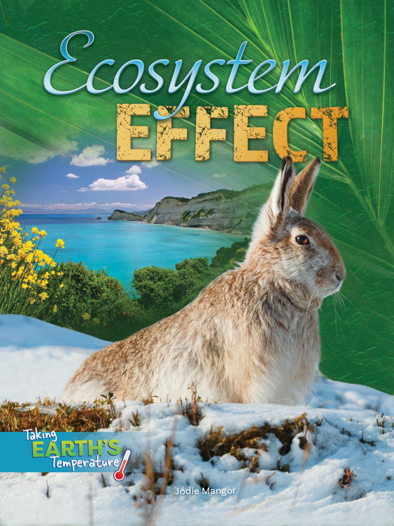 2019 - Ecosystem Effect (Paperback)